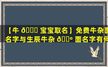 【牛 🐋 宝宝取名】免费牛杂面名字与生辰牛杂 🌺 面名字有何不同